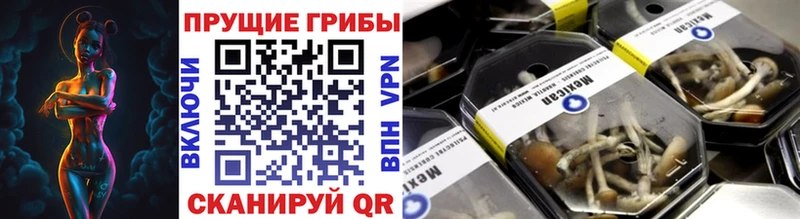 купить сайты Завитинск hydra как зайти Галлюциногенные грибы Cubensis
